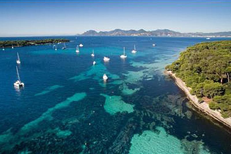 Beautiful And Cozy In The Heart Of * Cannes